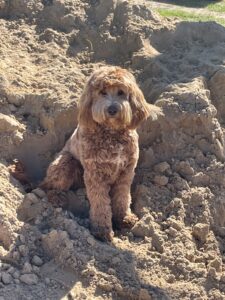 Ridgy Didge Maddie Cameron sitting in sand