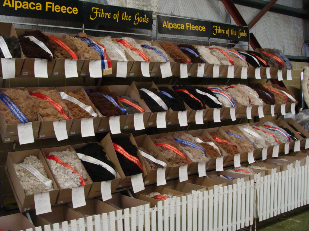 Image of boxes of alpaca fleece on display with ribbons at a show