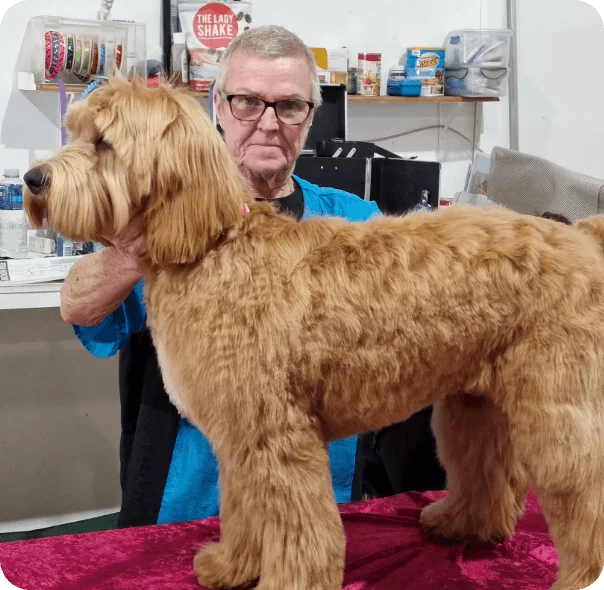 Isi Cameron and RD Maddie first full body groom
