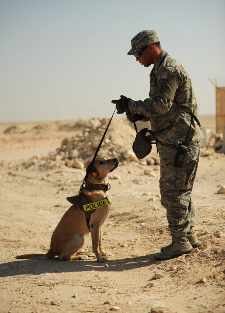 Image of Military Policeman with his dog sitting looking up at him