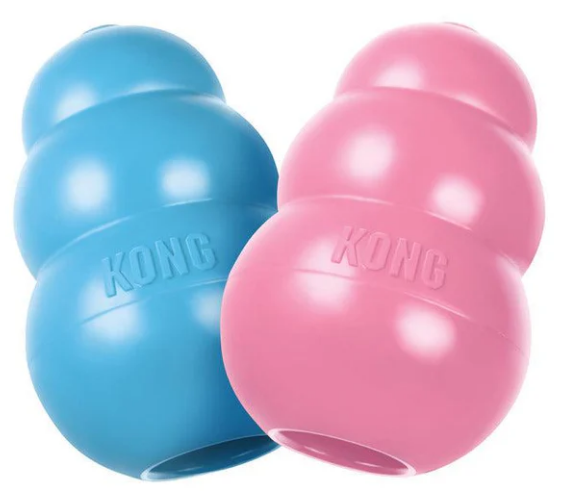 Blue and Pink Kong fillable chew toy