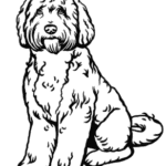 Cartoon line drawing of an Australian Cobberdog sitting