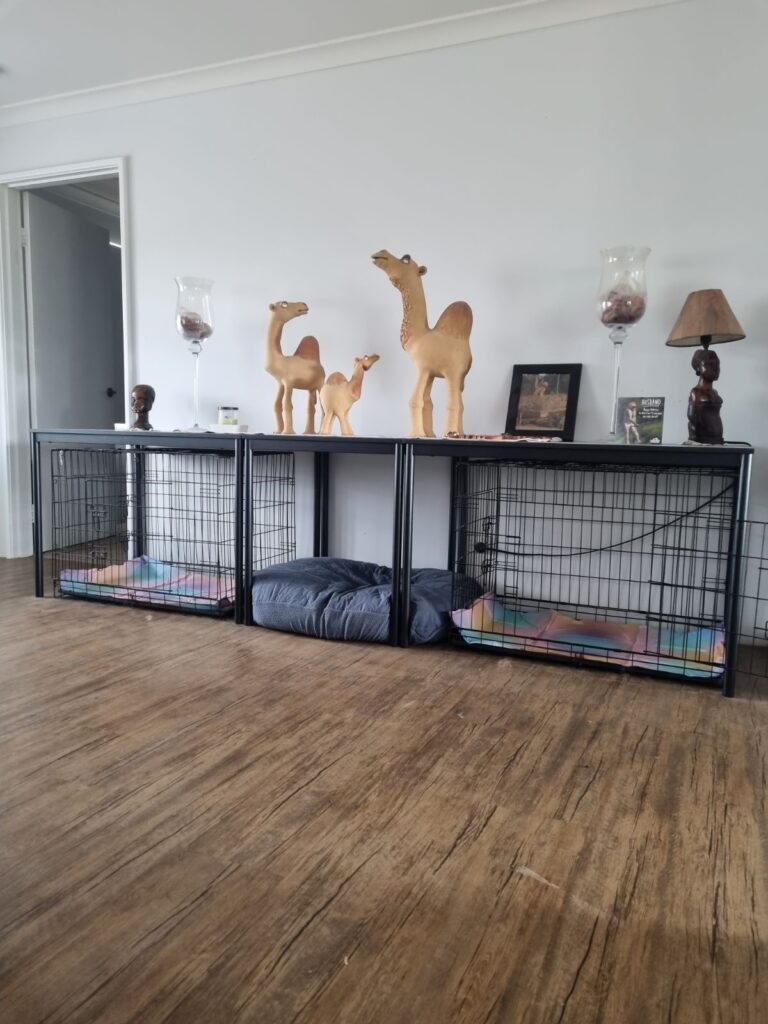 Our home two large dog crates set up with Ikea tables blend in beautifully as functional furniture in our lounge room