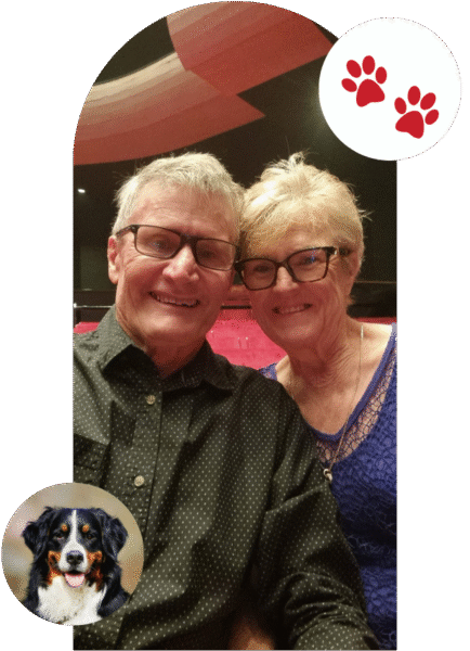 Ethical Australian Cobberdog Breeders in Western Australia