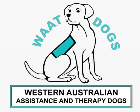Australian Cobberdog Assistance Dog WAAT