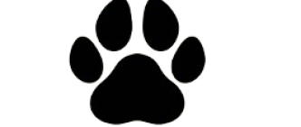 Australian Cobberdog black paw print